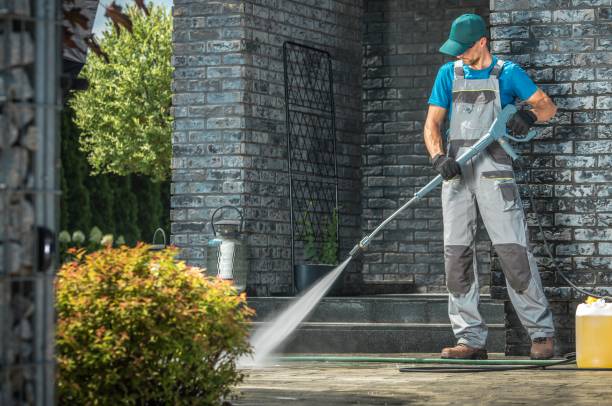 Best Animal Enclosure Cleaning  in New Athens, IL